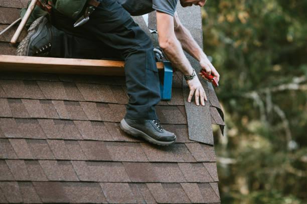Best Gutter Installation and Roofing  in Salamanca, NY
